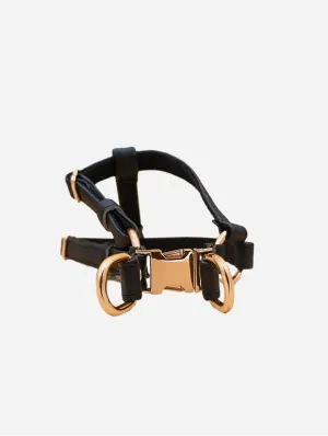 Anatomically Correct Piñatex® Vegan Leather Dog Harness | Black Paradise