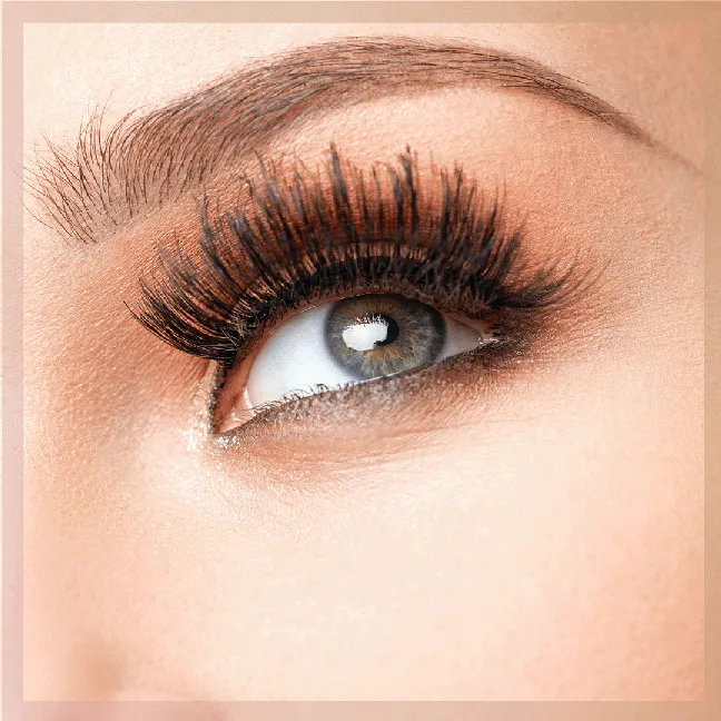 Eye Swear False Eyelashes (MSRP $15)