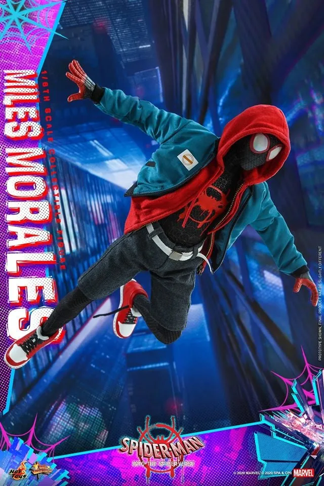 Hot Toys - MMS567 - Spider-Man: Into the Spider-Verse - 1/6th scale Miles Morales Collectible Figure