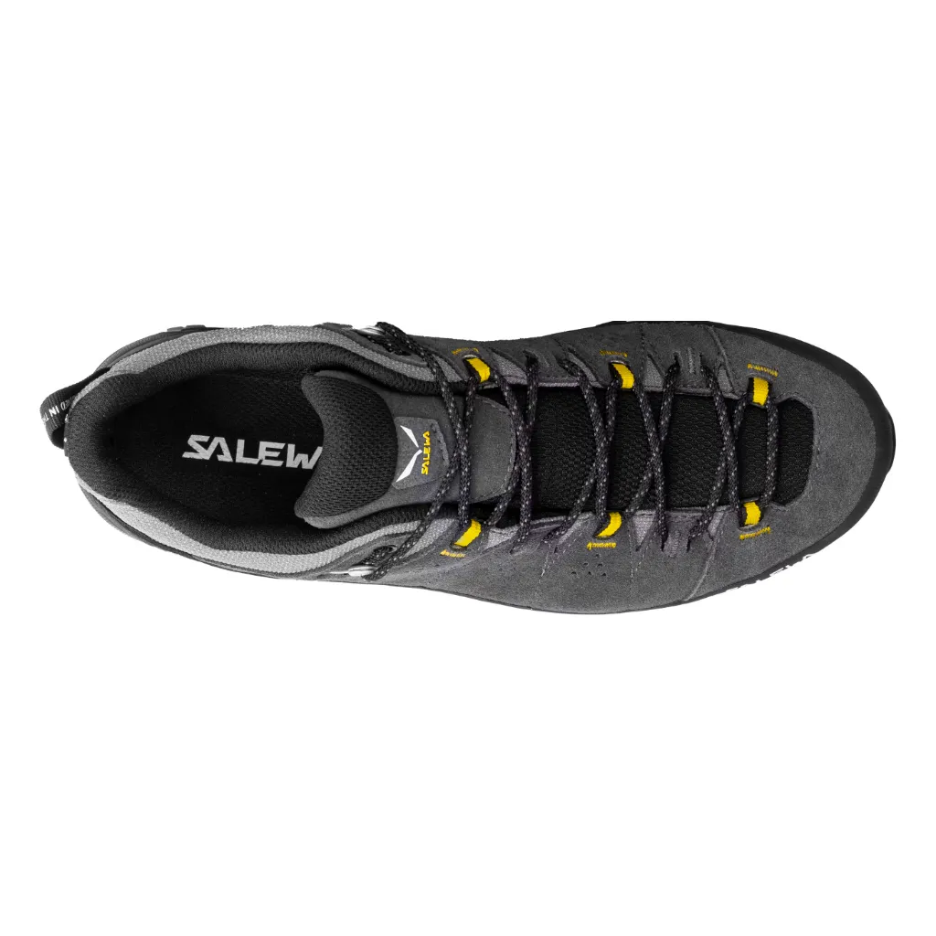 Men's Alp Trainer 2 GTX